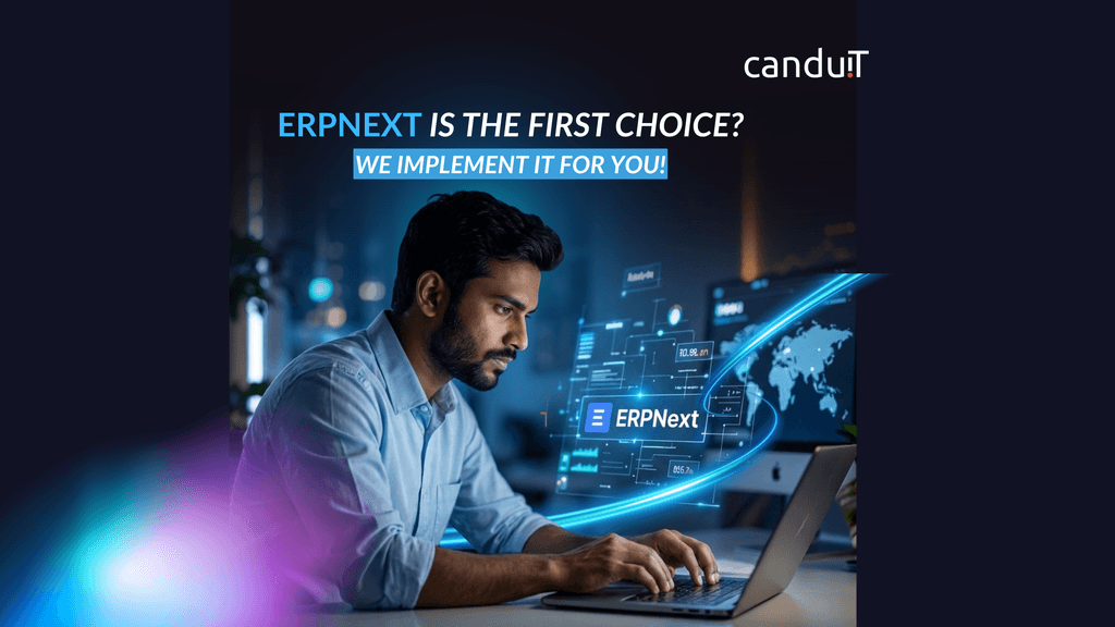 How we Implement and Customize ERPNext for your business.