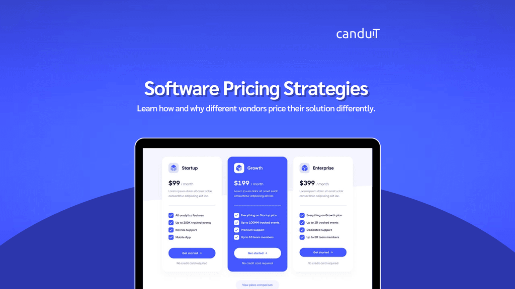 Why Software Pricing Varies: What's Really Behind the Number